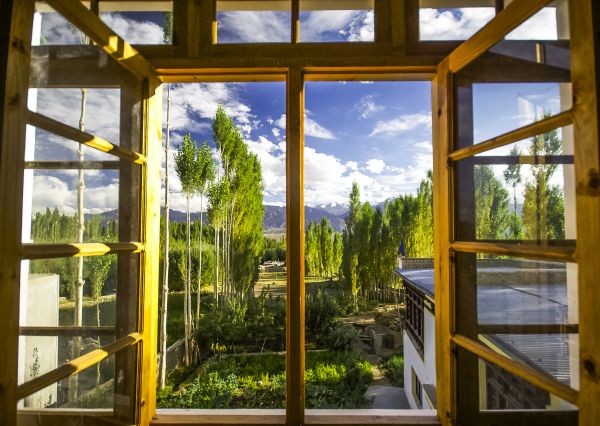 Cost of Wood Window Replacement in Berkeley